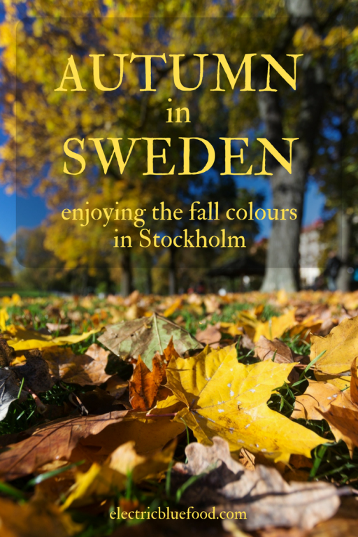 Autumn in Sweden the Indian Summer in Stockholm Electric Blue Food