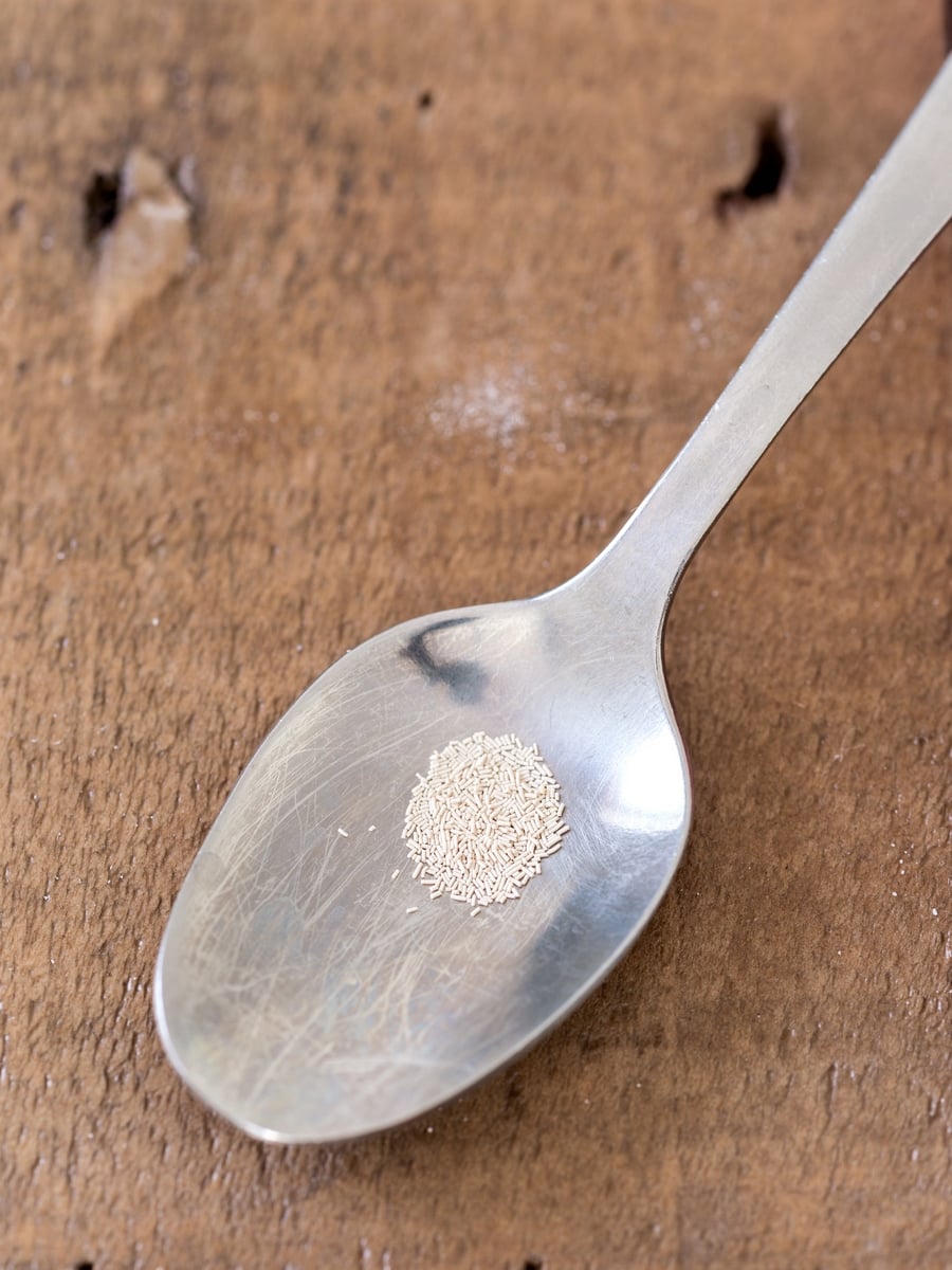 Tiny amount of instant yeast shown on a teaspoon.