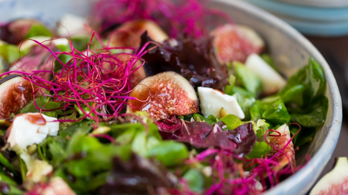 Fig and goat cheese salad, beet sprouts and raspberry vinaigrette