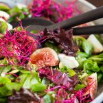 Fig and goat cheese salad, beet sprouts and raspberry vinaigrette