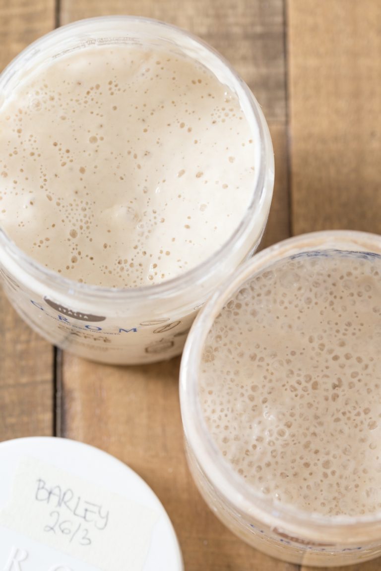 Open plastic jars showing sourdough starter inside.