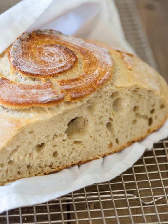 beginner-s-sourdough-starter-from-scratch-electric-blue-food