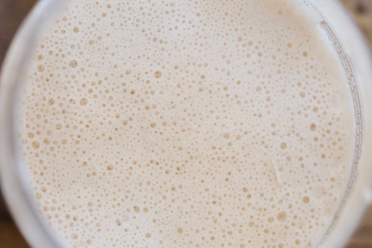 Closeup of sourdough starter when bubbly.