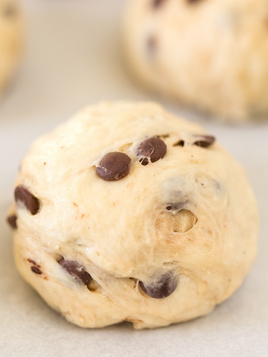 Closeup of chocolate chip yeast dough ball.
