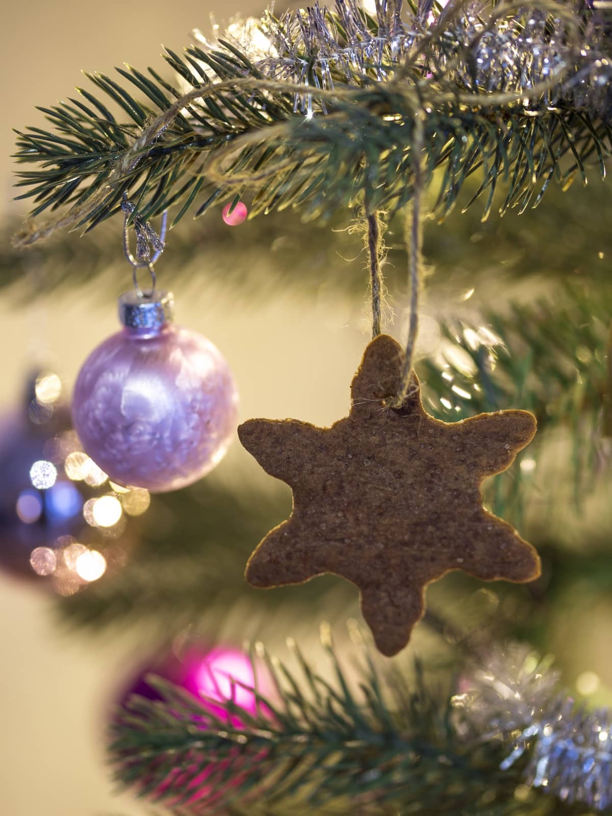 Ginger thin cookie used as Christmas tree decoration.