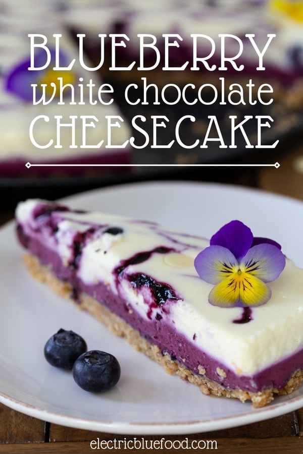 This blueberry white chocolate cheesecake is an elegant dessert made with 2 ingredients that pair wonderfully well together. It's a no-bake cheesecake made of 2 layers, keeping the 2 flavour elements separated.