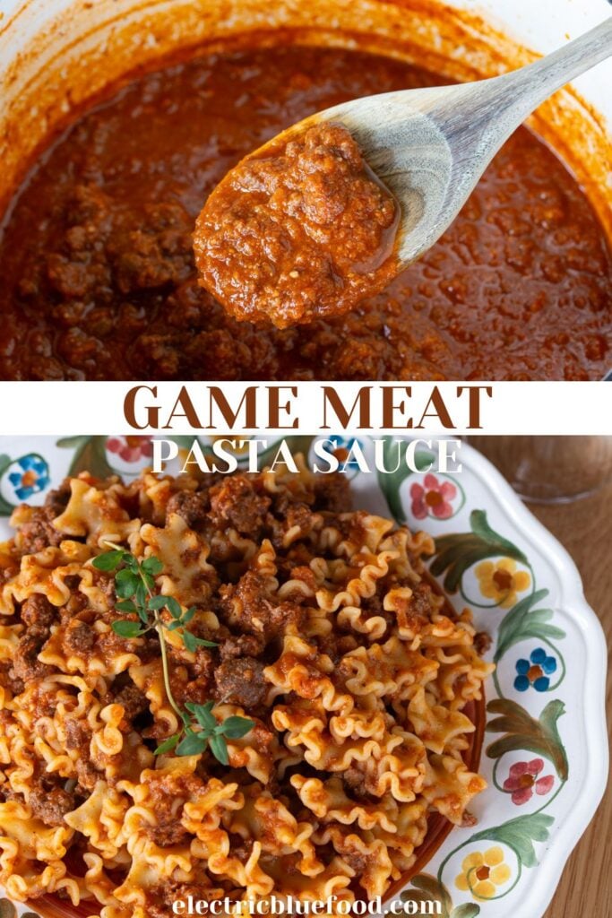 Game meat pasta sauce pin.
